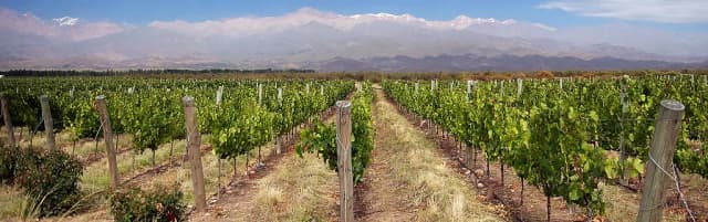 Wine, Bike, & Hike Mendoza, Argentina on the Cheap