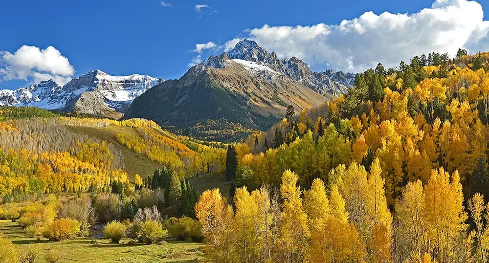 Fall leaves in the mountains