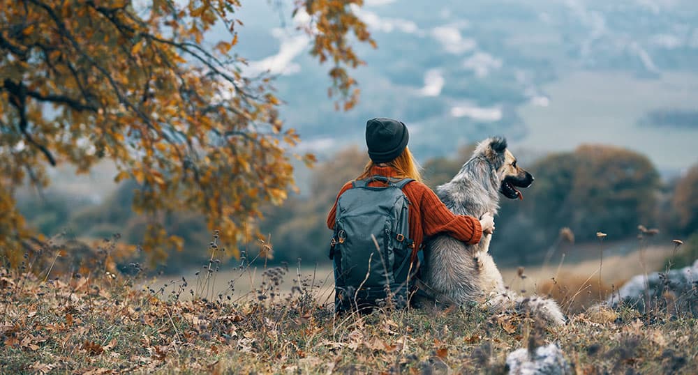 Woman and her big dog sit on a hillside